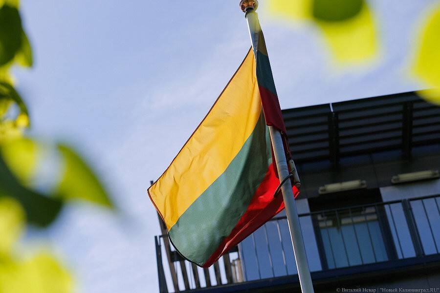 Президент Литвы помиловал двоих россиян, осужденных за шпионаж