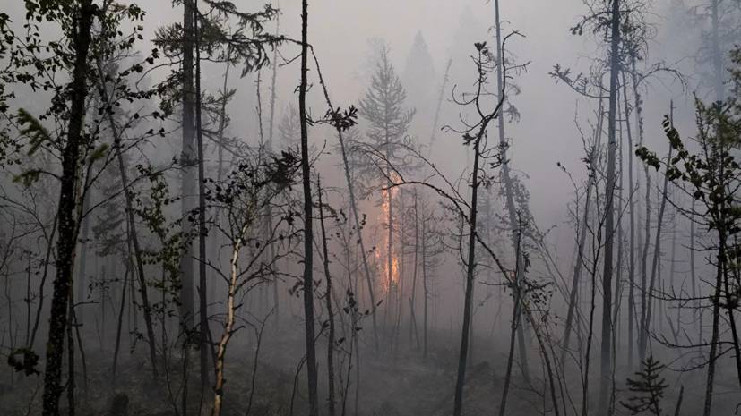 В Крыму ввели режим ЧС в районе лесного пожара