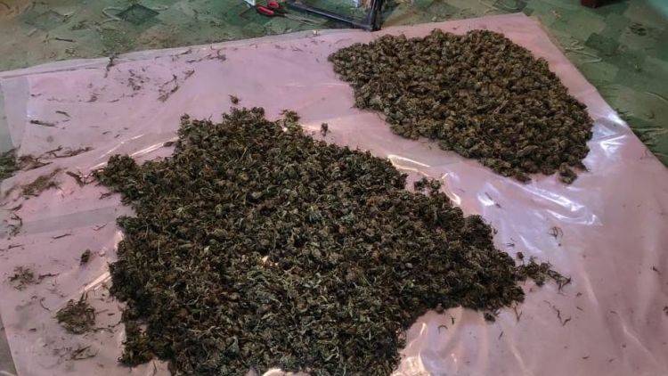 В Сакском районе ФСБ выявила десятки килограммов наркотиков