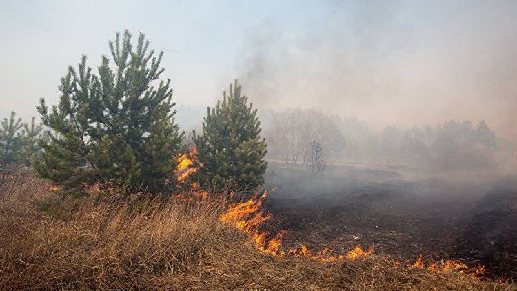 Жаркий ноябрь: в Крыму объявили чрезвычайную пожарную опасность