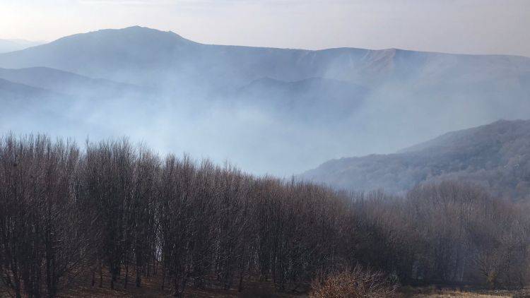 Крупный пожар в горах Крыма: что известно на данный момент