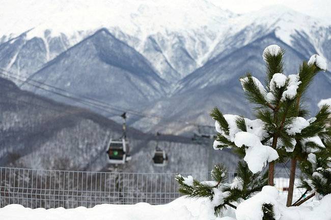 В Краснодарском крае в Новый год примут не менее 365 тысяч туристов