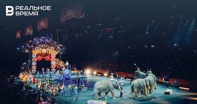 В Татарстане предложили запретить цирки с животными