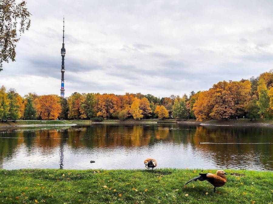 Осень в Москве может стать самой теплой за 140 лет
