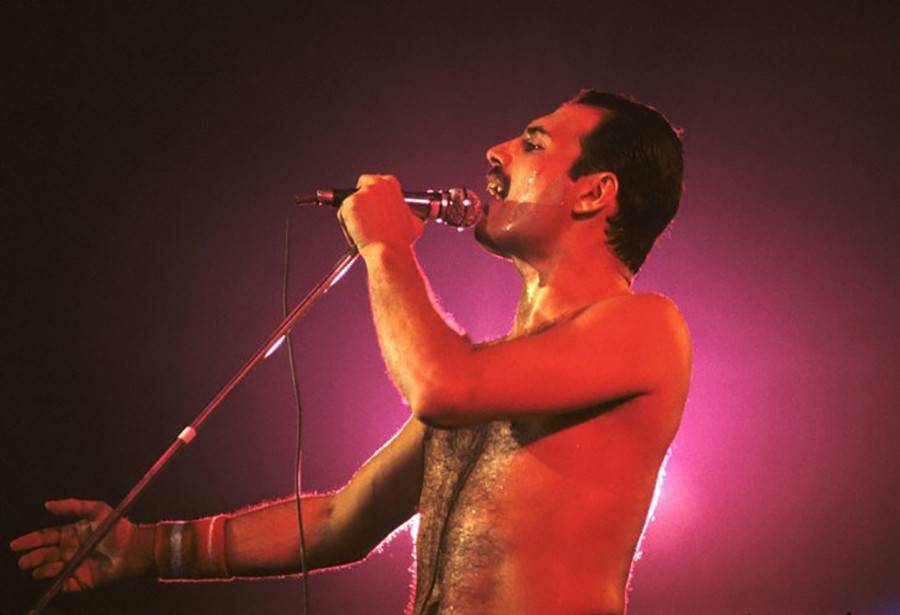 Музыканты Queen создали приложение для фанатов Меркьюри