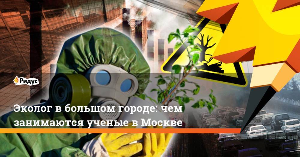 Эколог в большом городе: чем занимаются ученые в Москве