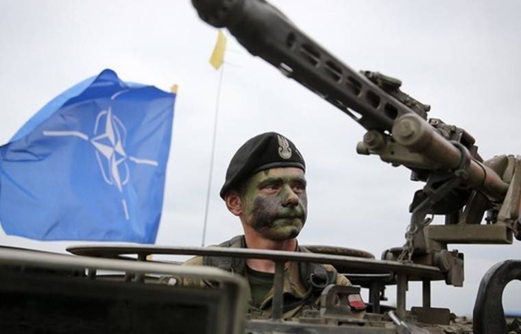 Президент Эстонии не согласна со словами Макрона о «смерти мозга» НАТО