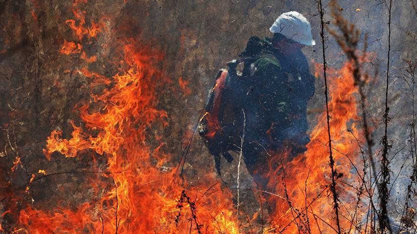 Площадь лесного пожара в Крыму возросла до 52 га