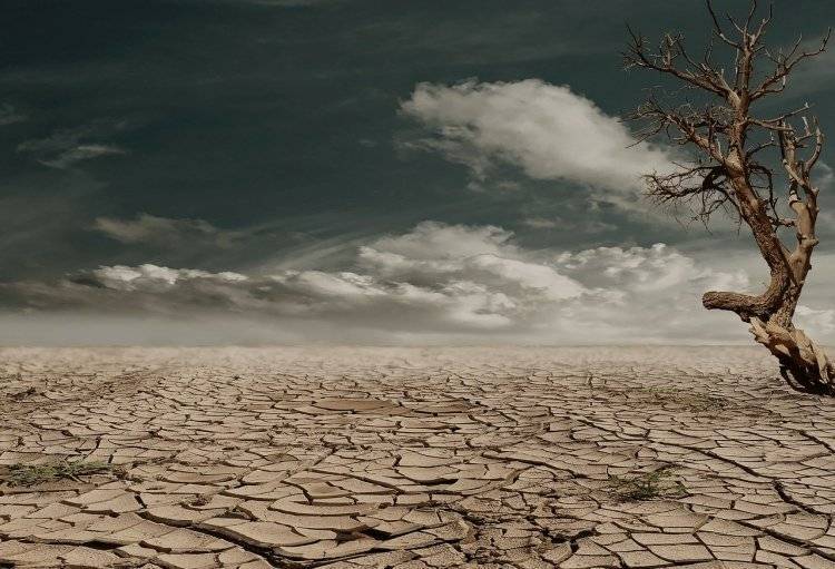 Синоптики объяснили причину осенней засухи в Крыму