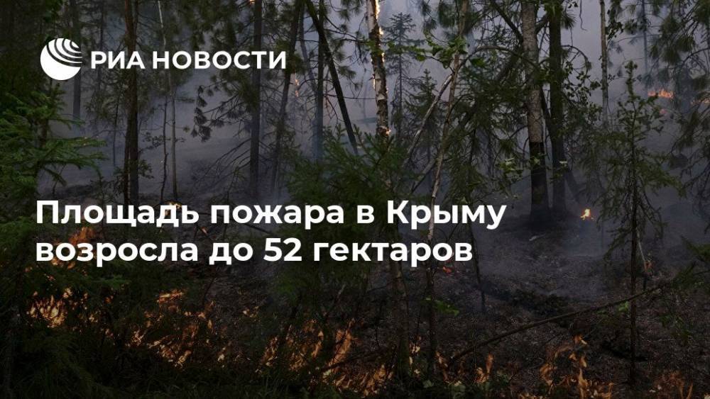 Площадь пожара в Крыму возросла до 52 гектаров