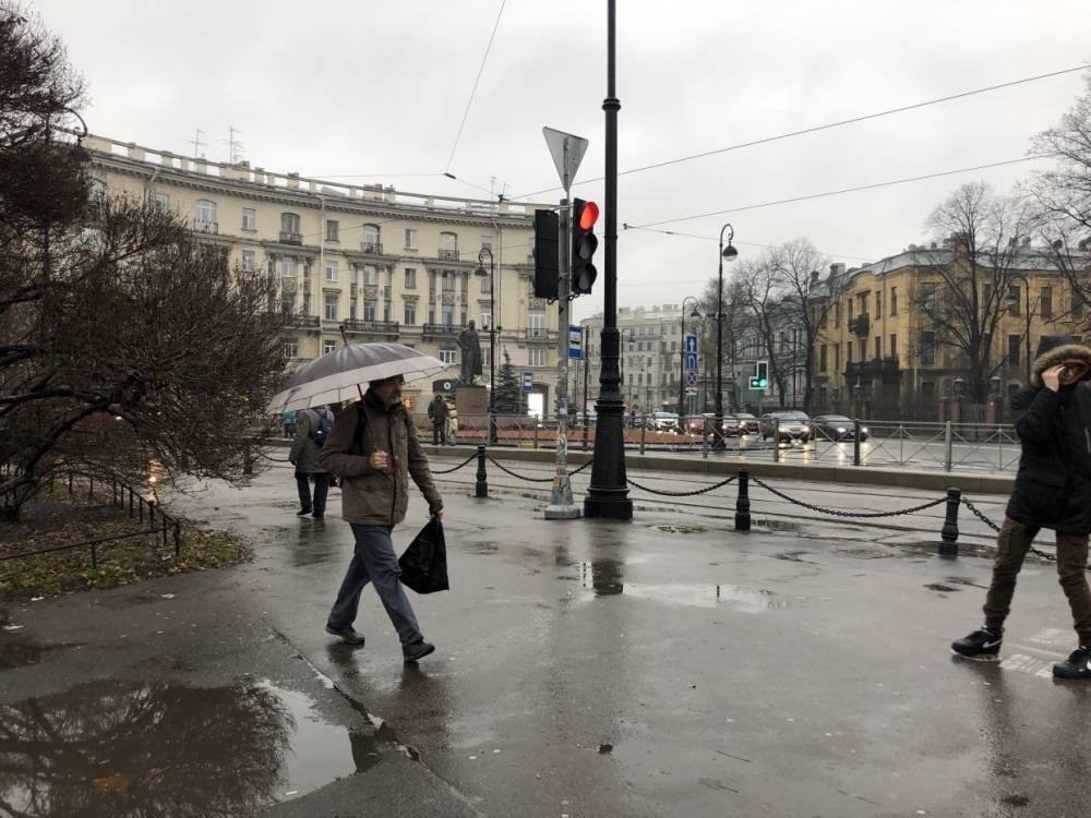 16 ноября в Петербурге останется плюсовая температура с небольшими дождями
