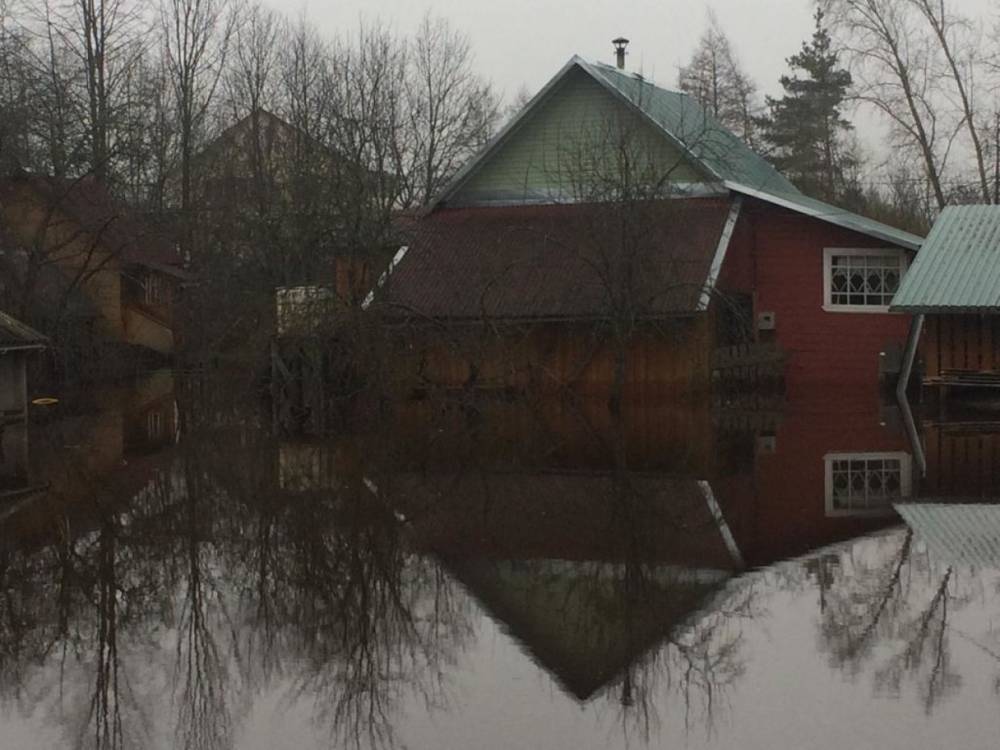 В Новгородской области во власти водной стихии остаются 28 населенных пунктов