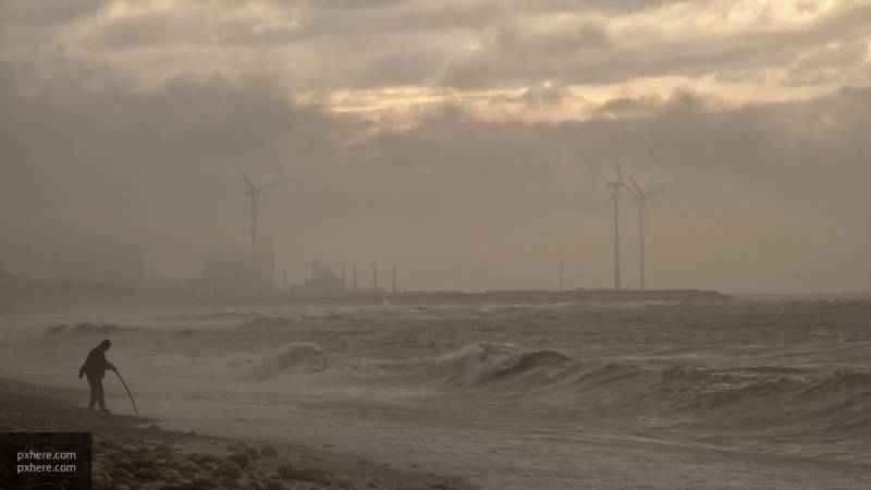 Штормовое предупреждение объявили в Приморье из-за сильного ветра