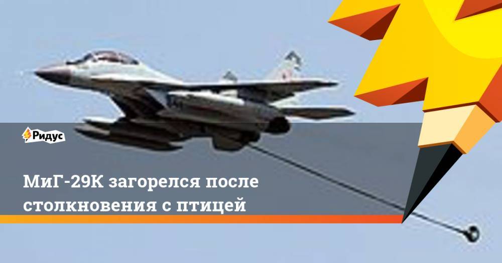 МиГ-29К загорелся после столкновения с птицей
