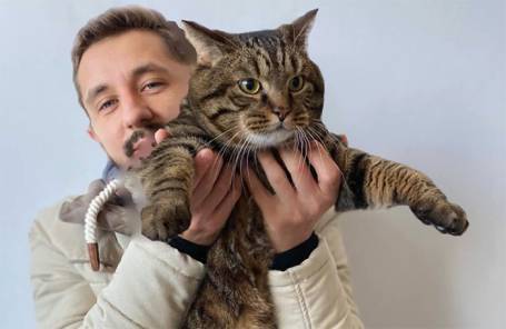 Хозяин кота Виктора предложил «Аэрофлоту» отдать его мили на благотворительность