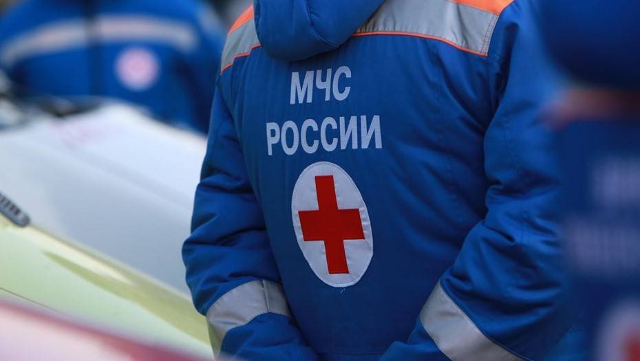 Один человек пострадал при крушении частного самолета под Петербургом