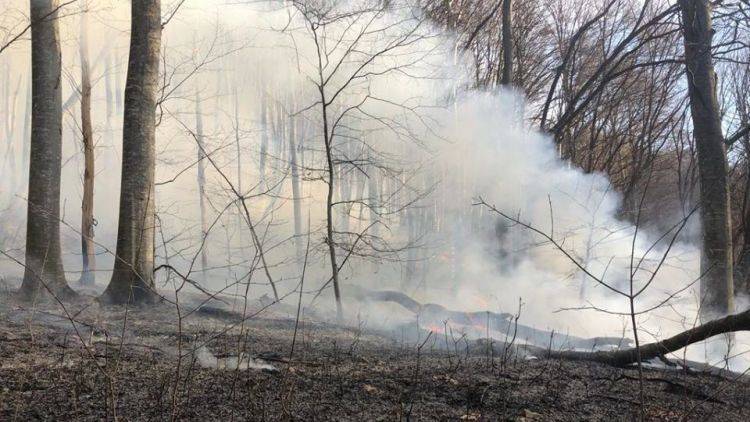 В Крыму начался еще один крупный пожар, леса закрыты для посещения