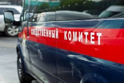Уголовное дело возбудили против матери погибшего при пожаре ребенка в Москве