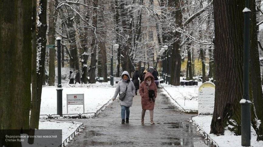 Синоптик рассказал, когда в Москве выпадет снег и придут холода