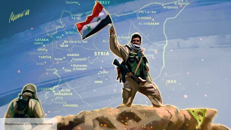 В Совфеде рассказали о планах Москвы и Анкары по восстановлению единства Сирии