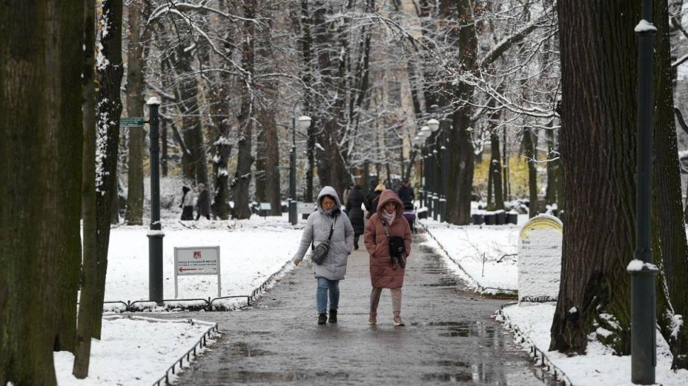 Похолодание придет в Петербург на следующей неделе