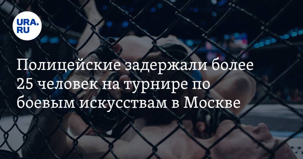 Полицейские задержали более 25 человек на турнире по боевым искусствам в Москве