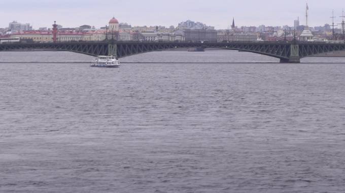 Петербуржцев удивила трава, плавающая между двумя мостами