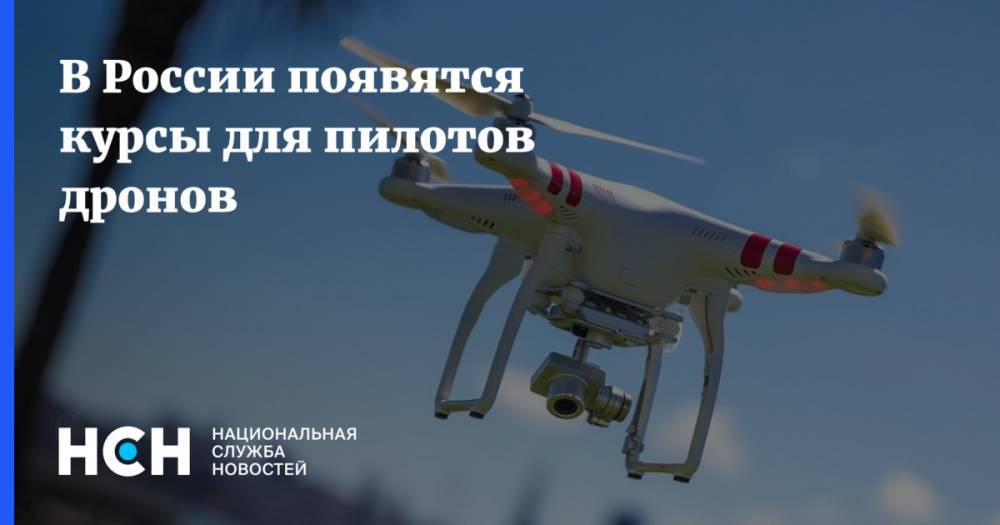 В России появятся курсы для пилотов дронов