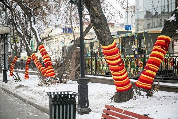 В центре Екатеринбурга деревья одели в гетры