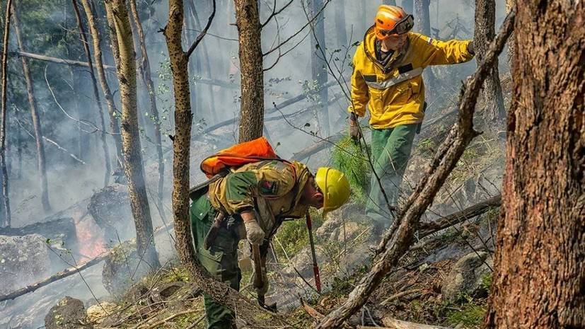 В Сочи увеличили группировку сил для борьбы с лесным пожаром