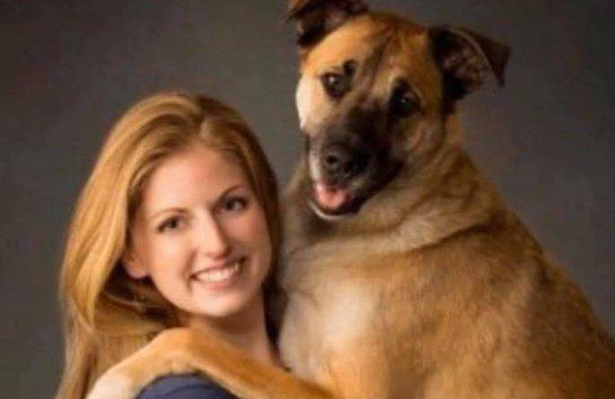 Дрессировщицу собак назвали «убийцей» после того, как она усыпила своего совершенно здорового пса за «плохое поведение»