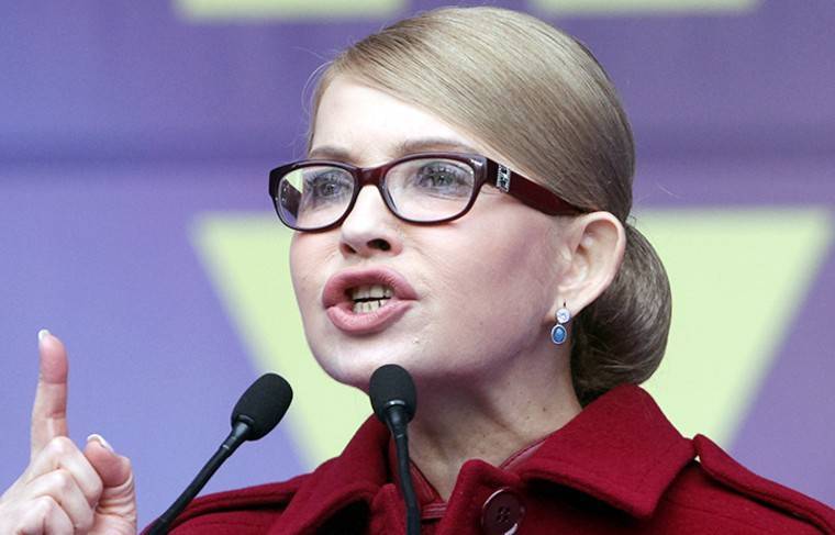 Тимошенко оспаривает в КС Украины земельную реформу