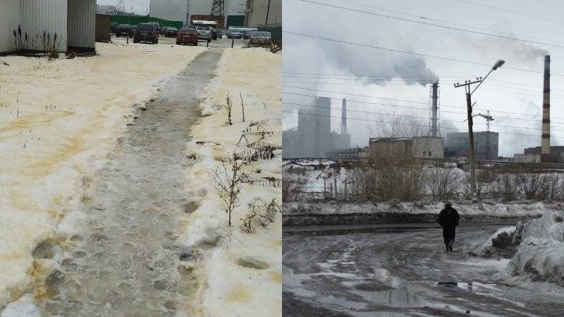 Министр экологии Карелии заверил, что экспертиза желтого снега в Сегеже придет на днях