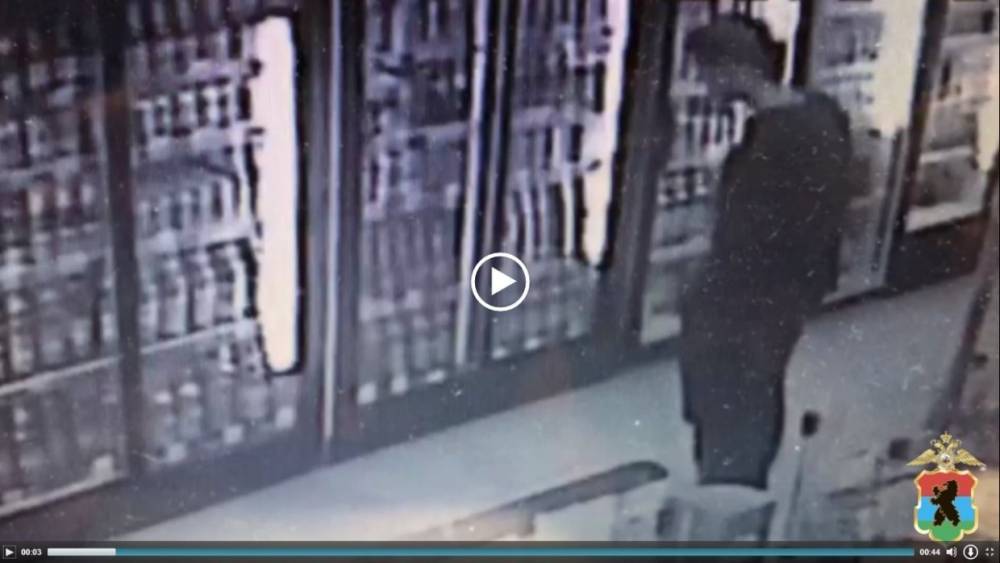 Полиция Карелии ищет подозреваемого с помощью видеозаписи хищения