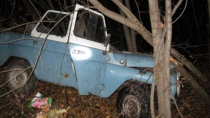 Водитель УАЗа погиб в ДТП в Брянской области