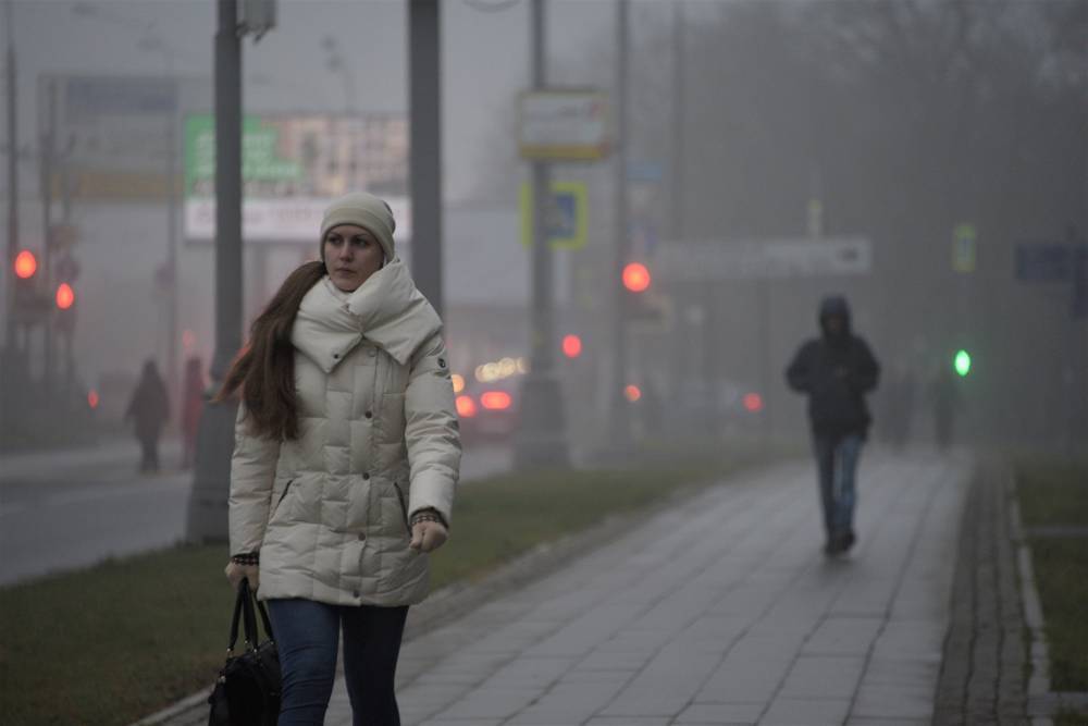 Синоптики предупредили москвичей о ночных туманах