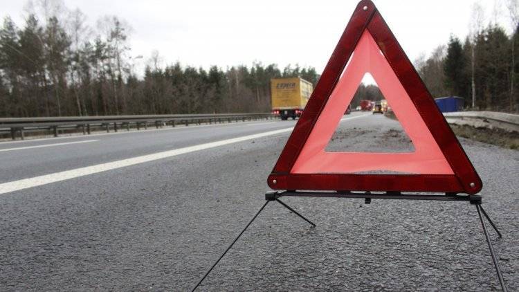 Восемь человек пострадали в ДТП на трассе в Тульской области