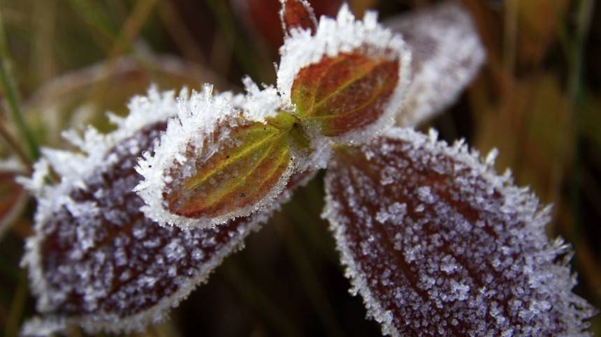 Зима трескучая: Аномальные холода надвигаются на российские регионы