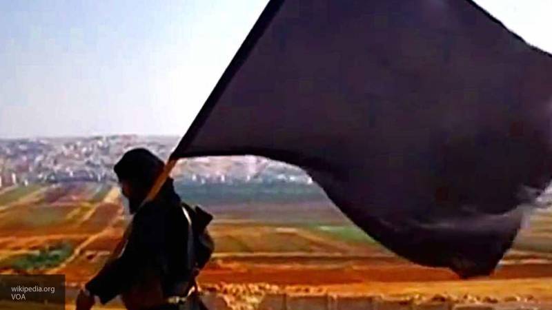 Освобождение курдскими радикалами террористов ИГ в Сирии угрожает ЕС и Турции, уверен эксперт