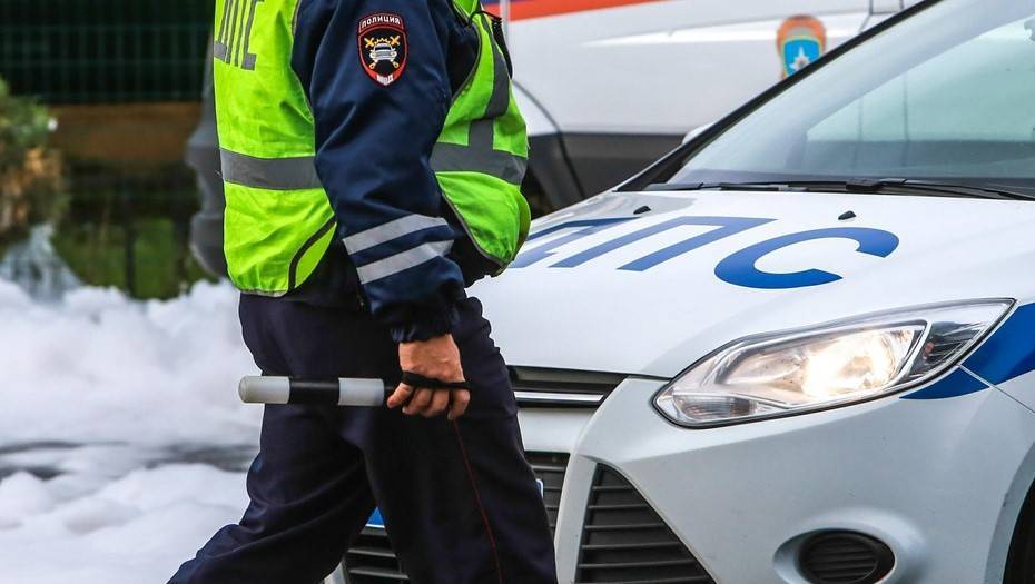 На Московском шоссе в Петербурге водитель столкнулся с лосем