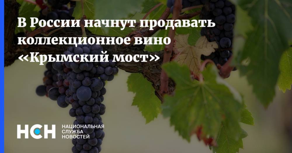В России начнут продавать коллекционное вино «Крымский мост»