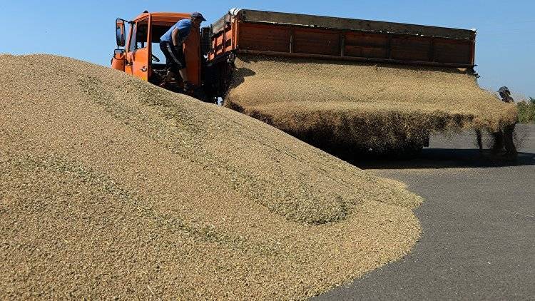 Крым поставит в Сирию пять тысяч тонн зерна в ближайшие месяцы