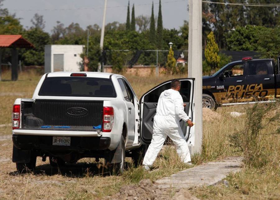 На ферме в Мексике обнаружили 25 человеческих тел