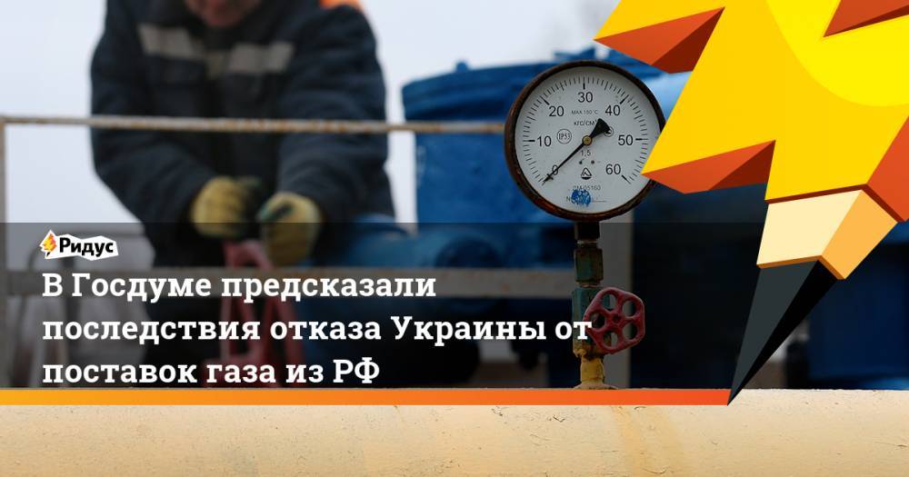 В Госдуме предсказали последствия отказа Украины от поставок газа из РФ