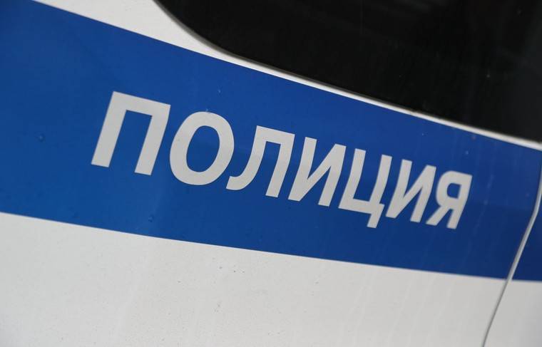 Полиция ищет жителя, убившего барана в спальном районе Петербурга
