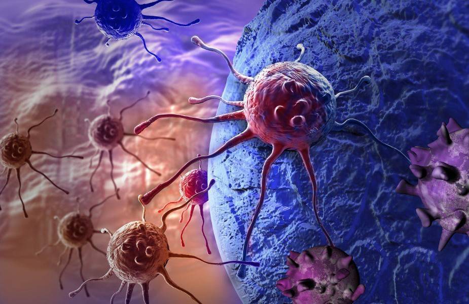 Ученые назвали главную причину возникновения рака