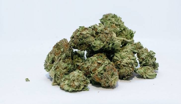 Названо условие для легализации марихуаны в России
