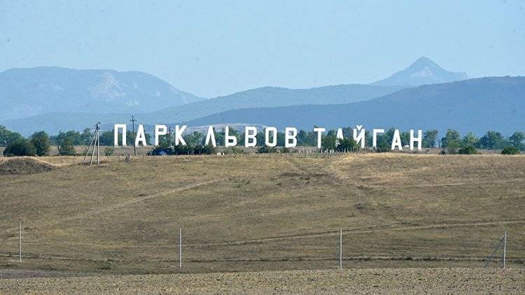 Власти Крыма рассказали о судьбе медведей "Тайгана"