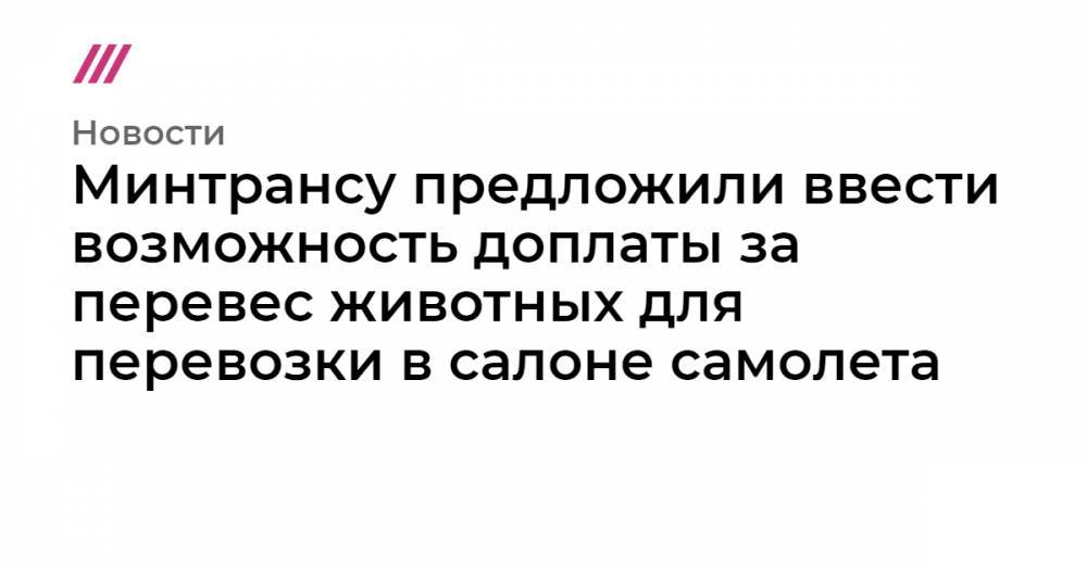 Минтрансу предложили ввести возможность доплаты за перевес животных для перевозки в салоне самолета