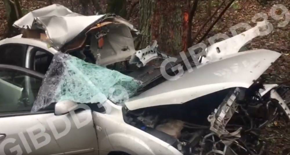 Появилось видео с места страшной аварии под Калининградом, где погиб водитель
